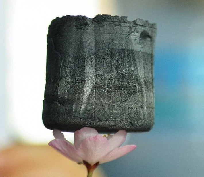 Vật liệu Graphene siêu nhẹ có thể đặt trên bông hoa mỏng manh.