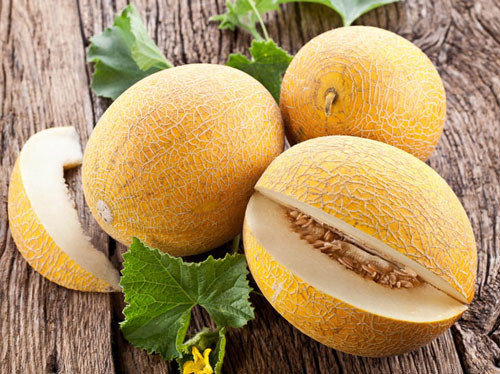 Dưa vàng có mùi thơm là dấu hiệu tốt nhất để nhận biết quả dưa đã chín.