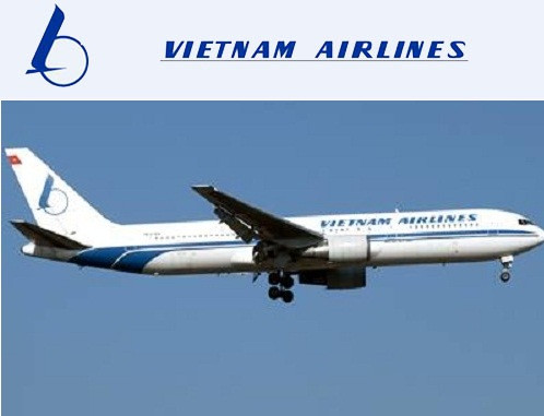 Trước khi sử dụng biểu tượng logo hoa sen, hãng hàng không từng gắn bó khá lâu với một hình ảnh khác. Từ ngày đầu thành lập (năm 1993) đến năm 2002, Vietnam Airlines sử dụng hình ảnh của cánh cò vầng trăng làm logo.