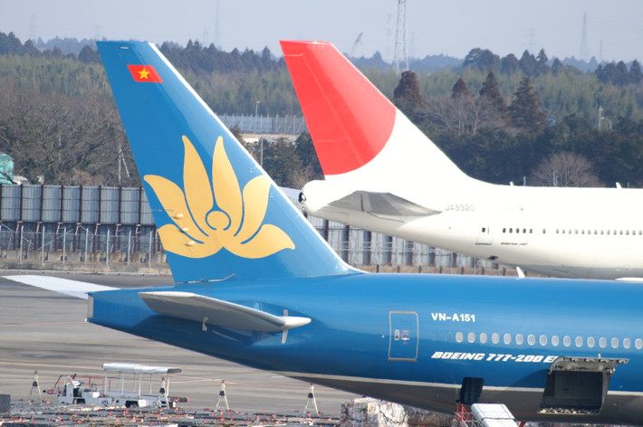 Biểu tượng logo hoa sen là sáng tác của họa sĩ Victor Kubo (Nhật Bản). Theo Vietnam Airlines, Hoa Sen - một hình tượng có ý nghĩa hết sức đặc biệt đối với người Việt Nam, biểu hiện cho sự khai sáng và hoàn mỹ; vừa đời thường lại vừa cao quý, linh thiêng; vừa duyên dáng, mềm mại, nhưng không kém phần cứng cáp, đĩnh đạc.