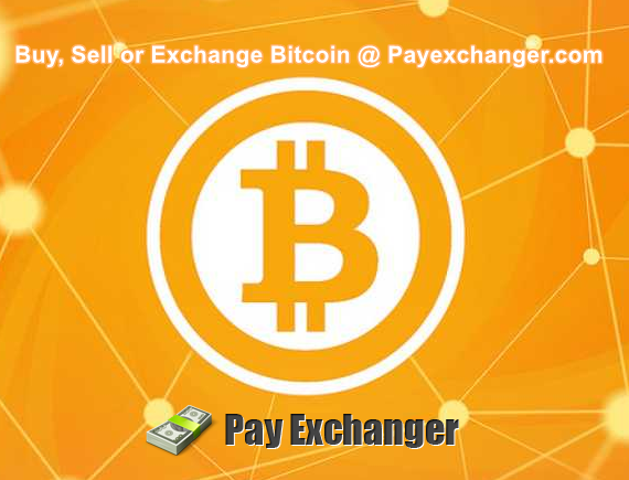 Sàn giao dịch BTC-e trở nên phổ biến và được nhiều người trên thế giới ưa chuộng kể từ khi sàn giao dịch MtGox bị sập. Ảnh: Pay Exchanger.