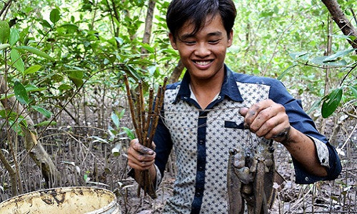 Với hơn chục cần câu và lội khoảng 2 tiếng đồng hồ, anh Hải có thể bắt được gần 2 kg “cá leo cây”.