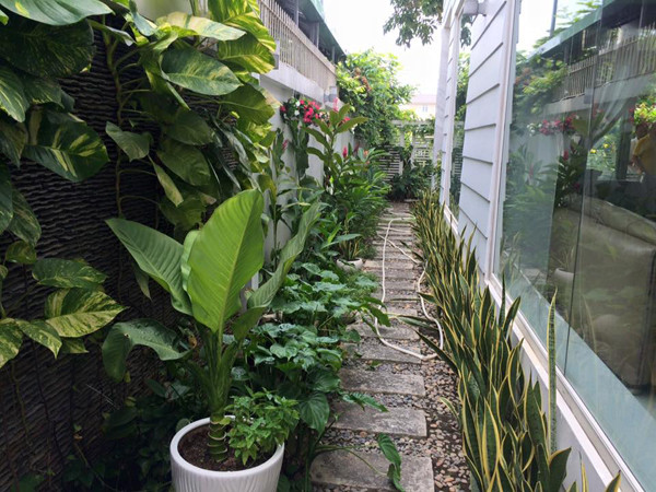 Đặc biệt là anh dành hẳn một góc không gian của căn biệt thư để trưng bày những thành quả mình đã đạt được trong nghệ thuật như bằng khen, cúp...