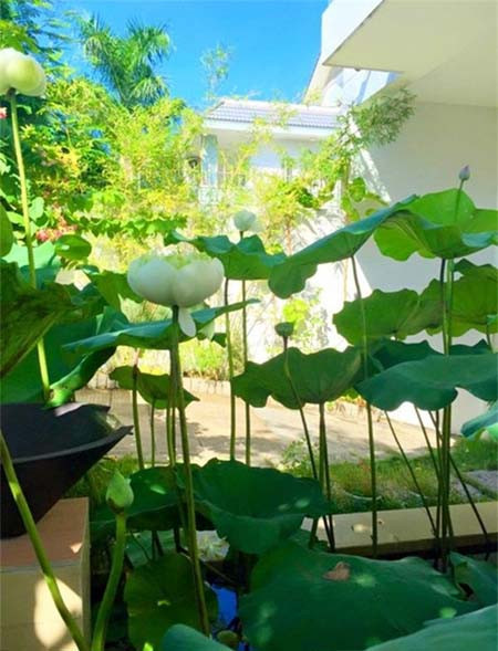 Tuy nhiên anh đã có một tuổi thơ khó khăn và đầy khổ cực, vượt qua bao sóng gió, mới thành công được như ngày hôm nay.