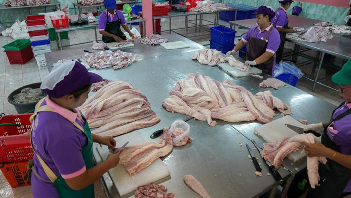 Thái Lan có khoảng 1,2 triệu con cá sấu được nuôi ở hơn 1.000 trang trại. Ảnh: Reuters.