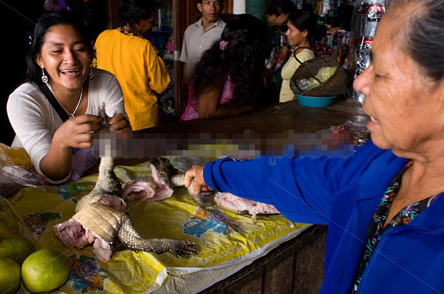 Từ thịt tươi ngoài chợ...Ảnh: Alamy.