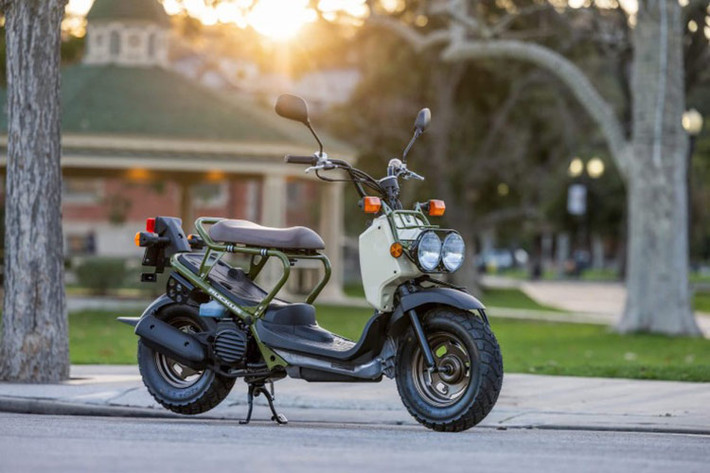 Honda Ruckus 2025 mới vừa được nhà phân phối Honda Powersport tung ra thị trường Mỹ. Đây là một mẫu xe ga cỡ nhỏ, có phong cách độc đáo, thích hợp với môi trường đô thị.