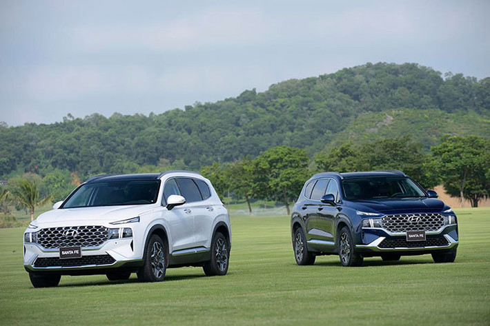 Xe được phân phối trên hệ thống đại lý Hyundai toàn quốc với 6 phiên bản khác nhau và 6 lựa chọn màu sắc bao gồm: Đen, Trắng, Đỏ đô, Bạc, Vàng cát và Xanh nước biển. Giá xe Hyundai SantaFe 2021 cho bản 2.5 Xăng Tiêu chuẩn: 1,03 tỷ đồng; 2.2 Dầu Tiêu chuẩn: 1,13 tỷ đồng; 2.5 Xăng Đặc biệt: 1,19 tỷ đồng; 2.2 Dầu Đặc biệt: 1,29 tỷ đồng; 2.5 Xăng Cao cấp: 1,24 tỷ đồng; 2.2 Dầu Cao cấp: 1,34 tỷ đồng