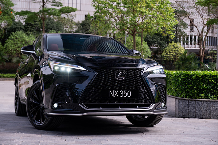 Thiết kế ngoại thất của NX bộc lộ các đường nét đầy lôi cuốn. Không chỉ vậy, các bề mặt rộng xuyên suốt khung xe linh hoạt được tạo nên thông qua một cấu trúc nền tảng xe hoàn toàn mới. Mặt lưới tản nhiệt thiết kế mới dựng thẳng và giao với nắp ca pô được thiết kế kéo dài về trước, tăng thêm vẻ vững chãi.