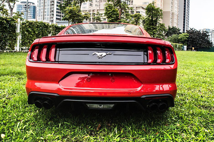 Phần đầu, Ford Mustang 2020 phiên bản giới hạn 1 trong 55 chiếc trên toàn cầu duy trì thiết kế nắp ca-pô dài gia tăng tính Sport cho xe. Trên nắp ca-pô xe Ford Mustang còn sở hữu 2 hốc gió cùng khả năng hợp sức với lưới tản nhiệt làm mát động cơ. Hệ thống chiếu sáng là đèn LED với bóng Projector, cùng với đó là 3 dải LED định vị ban ngày, đèn sương mù trên xe tiếp tục được đặt ngang kèm hốc gió đầy tính khí động học.