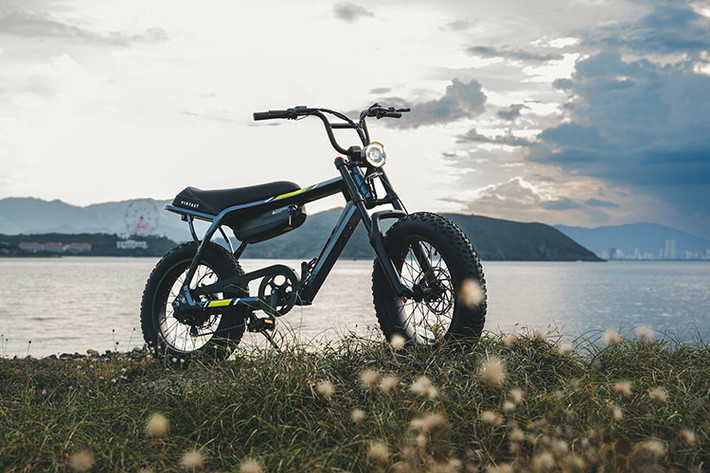 Sau thị trường Mỹ, Việt Nam chính là thị trường thứ hai chính thức mở bán mẫu VinFast ebike VF DrgnFly 2024 mới đang rất được quan tâm, qua đó hoàn thiện dải sản phẩm di chuyển xanh gồm xe buýt điện, ôtô điện, xe máy điện, xe đạp điện cùng hệ thống trạm sạc và xưởng dịch vụ trải khắp đất nước.