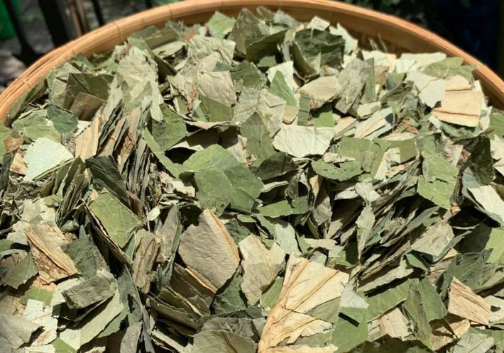 Lá sen khô cũng được bán từ 30.000 - 55.000 đồng/kg. Các chị em chuộng lá sen khô bởi chúng có nhiều tác dụng trong việc làm đẹp, đặc biệt là giảm cân. Ảnh: Vietnamnet