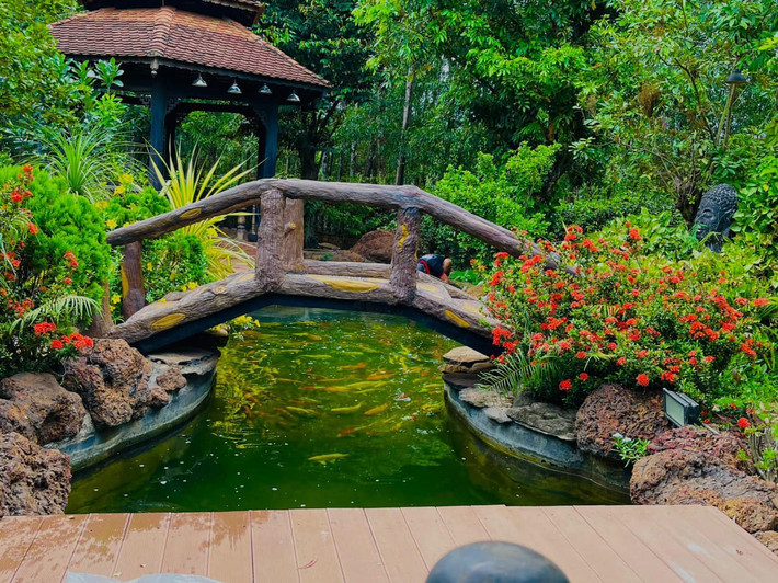 Đặc biệt, nam diễn viên còn đầu tư hồ các Koi trị giá 5 tỷ đồng với gần 40 con trong khuôn viên nhà vườn. Ảnh: Dân trí