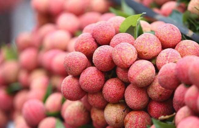 Với chất lượng ngày càng cao, quy trình trồng vải theo hướng hữu cơ, vải thiểu Việt Nam còn xuất khẩu sang hơn 30 quốc gia và vùng lãnh thổ, chinh phục những thị trường xuất khẩu khó tính nhất. Ảnh: Facebook