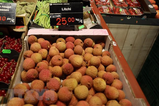 So với sản phẩm nhập khẩu cùng loại cũng như các loại trái cây nhập khẩu khác, vải Việt Nam có giá bán khá cao tại Anh (15 bảng/kg, tương đương 435.000 đồng. Ảnh: TTXVN