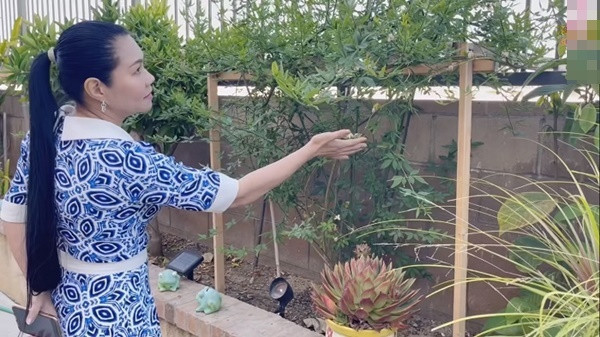 Những giống cây của Việt Nam phát triển tươi tốt trên đất Mỹ giúp nữ nghệ sĩ vơi đi nỗi nhớ quê nhà. Ảnh: chụp màn hình Youtube