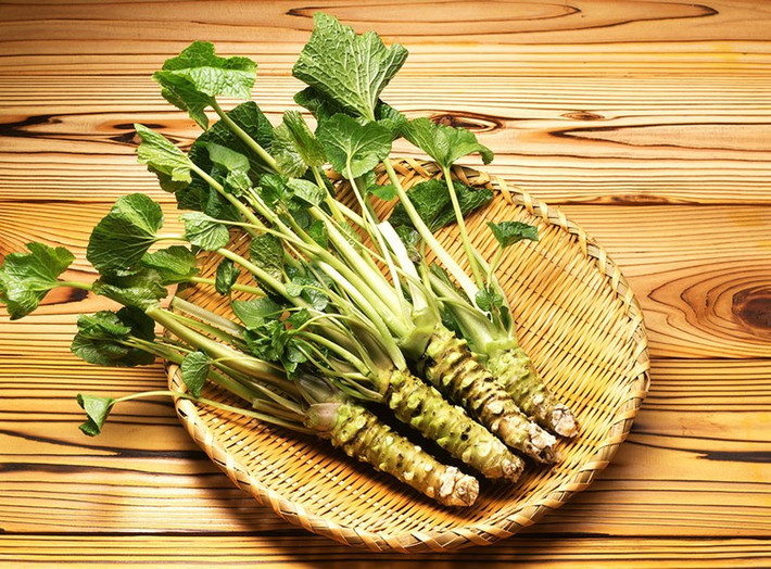 Do không nhiều lòng suối chảy trong các thung lũng ở Nhật Bản, nên việc trồng cây wasabi ở mức độ thương mại rất khó khăn. Thường phải mất khoảng 12-18 tháng, thậm chí 2 năm để một cây wasabi phát triển và thu hoạch được. Ảnh: Getty