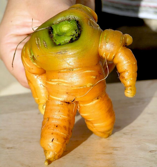 Củ cà rốt tựa như một bộ đồ chơi Buzz Lightyear.