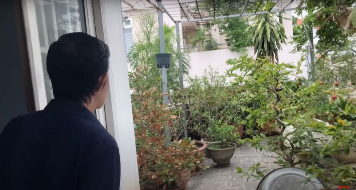 Cả một vườn cây rộng lớn vừa cung cấp thực phẩm sạch cho gia đình, vừa giúp ông thư thái trong tâm hồn. Ảnh: Hồng Phượng Vlog