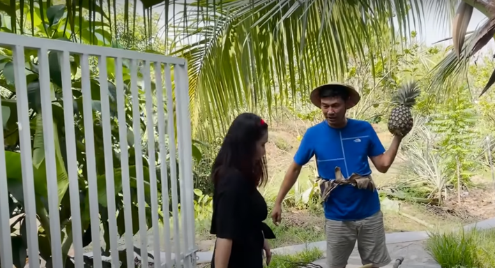 Qua đoạn video có thể thấy, MC Tiết Cương đang thu hoạch nhiều loại trái cây như dừa sáp, măng cụt, chuối xiêm, dứa...