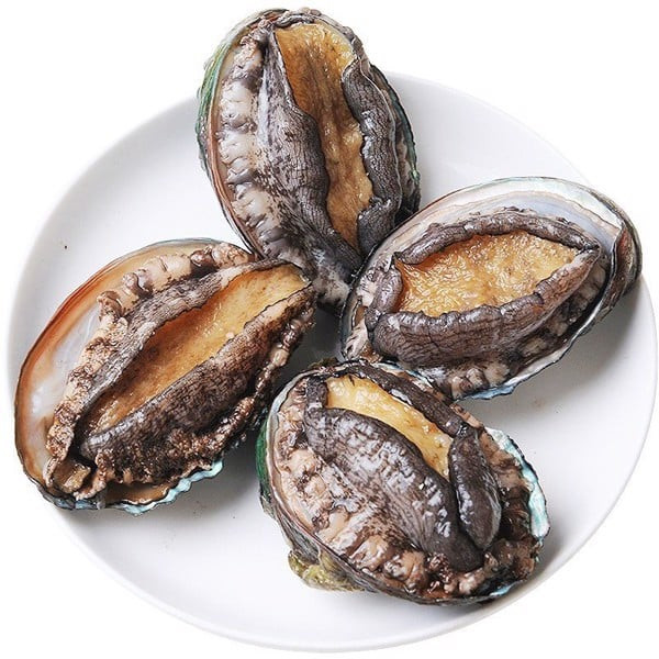 Bào ngư vốn là thực phẩm thuộc hàng xa xỉ, chỉ dành cho giới đại gia. Tại thị trường Việt, bào ngư tươi loại rẻ nhất cũng có giá 400.000 - 500.000 đồng/kg. Ảnh: Daohaisan