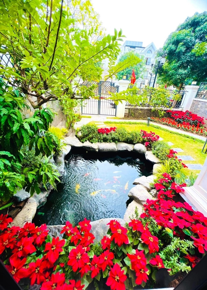 Hoa trạng nguyên đỏ rực cho căn biệt thự thêm nổi bật. Ảnh: FB Lã Thanh Huyền