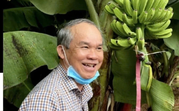Sau những thất bại, Hoàng Anh Gia Lai tái cấu trúc và chuyển sang trồng các loại cây ngắn ngày như chanh dây, ớt, và đặc biệt là chuối. Ảnh: Nguoiquansat