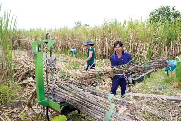 Điều này gây khó cho đường nội địa khi lượng tồn kho tăng cao. Ảnh: Dân Việt.