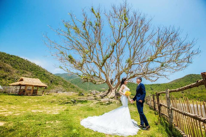 Nhiều cặp đôi cũng tìm đến nông trại để chụp ảnh cưới.