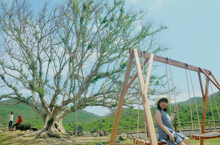 Xung quanh trang trại sống ảo còn được bài trí khung cảnh vô cùng lãng mạn như trong phim Hàn Quốc.
