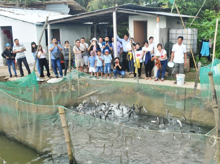 Giá cá lóc bay còn sống bán ra cho khách mang về 90.000 đồng/kg. Trong khi đó, cá lóc chế biến ăn tại chỗ có giá 100.000 đồng/kg. Ảnh: GD&TĐ.
