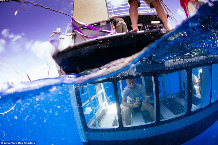 Buồng lặn Aqua Sub được thả xuống nước từ trên tàu ở ngoài khơi đảo Neptune, Australia.