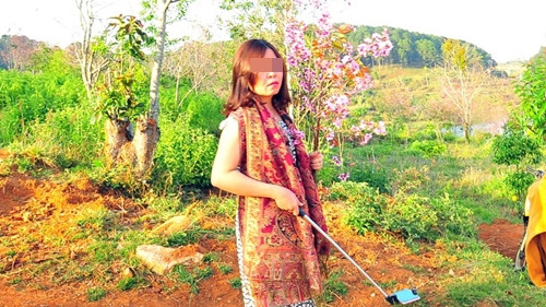 Hồi tháng 4/2017, sự việc Phó giám đốc Sở Tư pháp Bình Thuận - bà Phạm Thị Minh Hiếu bị kỷ luật khiển trách về mặt Đảng vì hành vi bẻ hoa mai anh đào ở Đà Lạt.