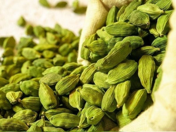 Loại gia vị này đắt như vậy là bởi bạch đậu khấu cần được thu hoạch hoàn toàn bằng tay, rất tốn công sức. Ảnh: Internet