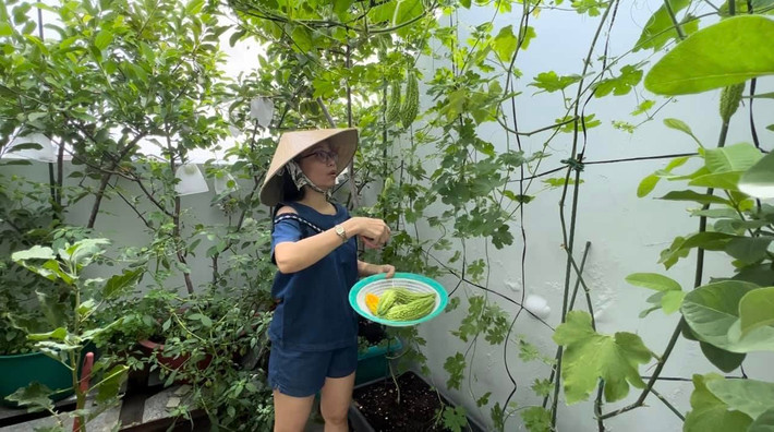 Trong khu vườn này, Cẩm Ly tự tay ươm mầm, trồng rau củ quả. Ảnh: FB Cẩm Ly