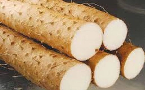 Trên thị trường, giá củ mài dao động từ 70.000 - 120.000 đồng/kg tùy thời điểm. Ảnh: Internet