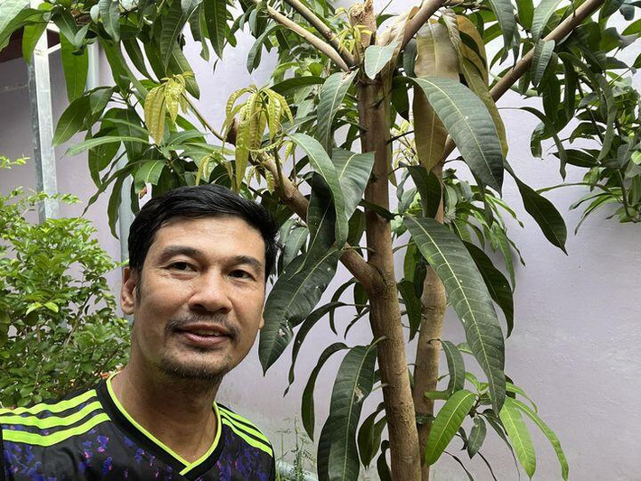 Xoài ra lá non sắp cho trái. Ảnh: FBNV