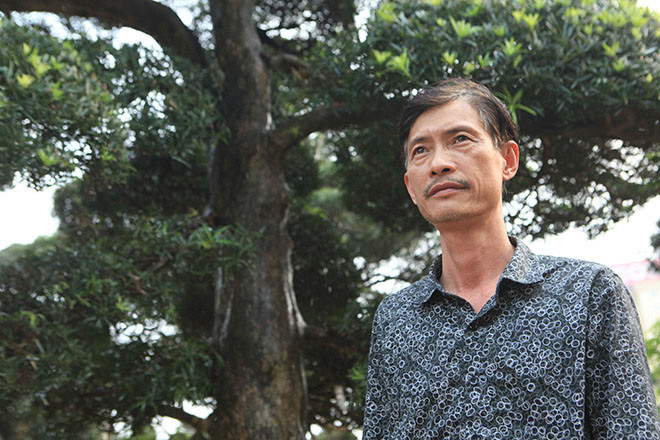 Ông Vũ Xuân Lành (người quản lý vườn tùng) cho biết, toàn bộ những cây tùng ở đây được nhập khẩu từ Nhật Bản, đi đường biển về Việt Nam. Vườn cây được hình thành cách đây gần 5 năm, hiện trong vườn có khoảng vài trăm cây.