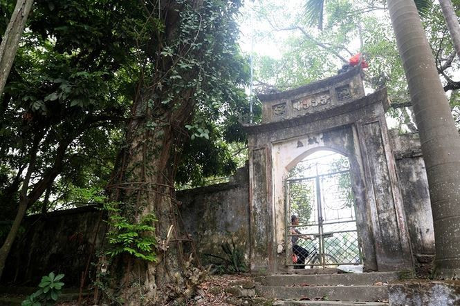 Những ngày gần đây, chuyện về cây sưa từng được đại gia trả giá 100 tỷ đồng ở xã Hoà Chính, huyện Chương Mỹ, Hà Nội thu hút sự quan tâm đặc biệt của dư luận. Ảnh: Vietnamnet.