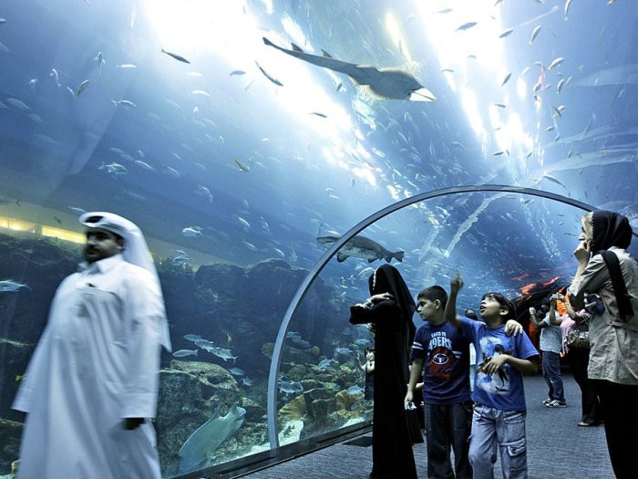 Bên trong trung tâm thương mại Dubai Mall còn có thủy cung với 33.000 loài động vật biển, sân trượt băng đạt tiêu chuẩn của Olympic... Ảnh: BI.