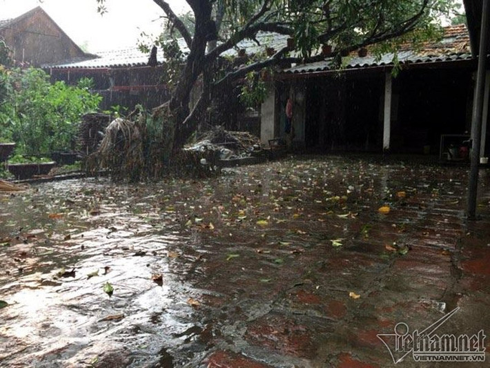 Với người dân Hà Nội, mưa đá là hiện tượng bất thường rất hiếm gặp, mưa đá thường chỉ xuất hiện trong thời điểm giao mùa.