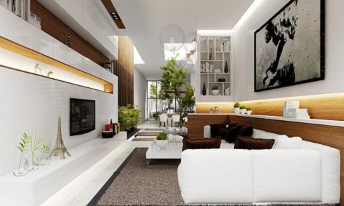 Phòng khách chật hẹp, gia chủ nên tận dụng các góc nhà bằng cách đặt bình phong, kệ hay chậu cây xanh...Ảnh: Bindo.