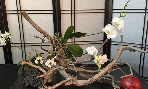 Bonsai thế độc khiến nhiều người thích thú. Ảnh: Swindon Bonsai.