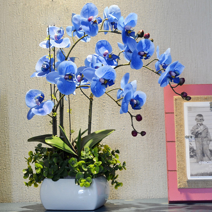Dưới bàn tay khéo léo của nghệ nhân, phong lan sắc xanh trở thành chậu bonsai để bàn đẹp mắt. Ảnh: AliExpress.