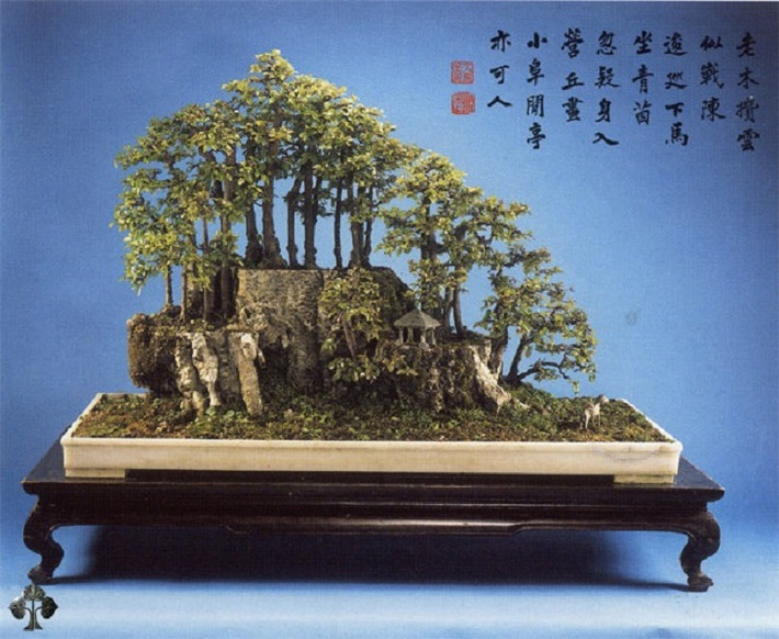 Bonsai cảnh quan tuyệt đẹp ở Trung Quốc.
