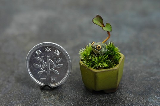 Một chậu bonsai nhỏ bằng đồng xu khá đẹp mắt.