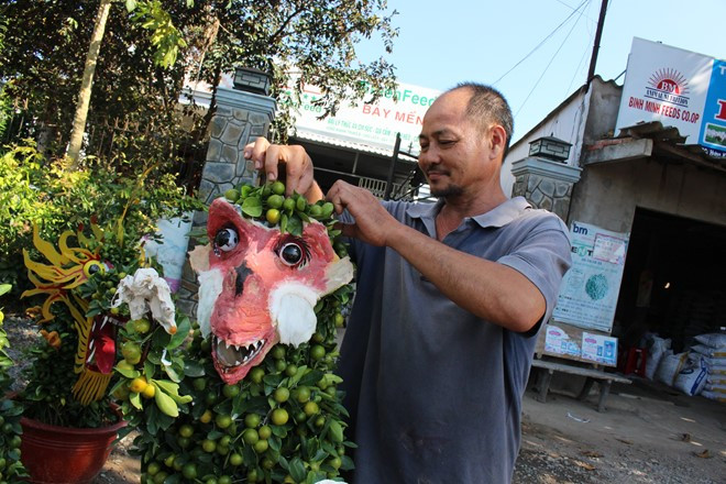 Những cây quất sẽ được uốn, tạo hình dáng của khỉ. Mặt nạ khỉ "Tề Thiên" gắn một mặt để tạo độ sinh động cho chậu cảnh. Giá mỗi cặp quất cảnh hình khỉ được bán với giá 2,5 triệu đồng. Ảnh: Lao Động.
