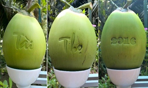 Dừa Phú Quý Bến Tre của anh Huỳnh Thanh Tâm (huyện Châu Thành, tỉnh Bến Tre) trở thành điểm nhấn mới mẻ khi xuất hiện vào dịp sát Tết. Các quả dừa đều được khắc các chữ tài, lộc, thọ, Bính Thân, 2016... đẹp mắt.