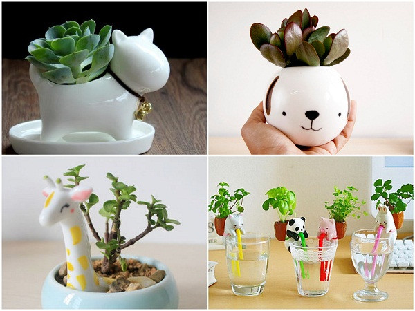 Bộ chậu cảnh để bàn bằng sứ trồng các loại cây sen đá, xương rồng...