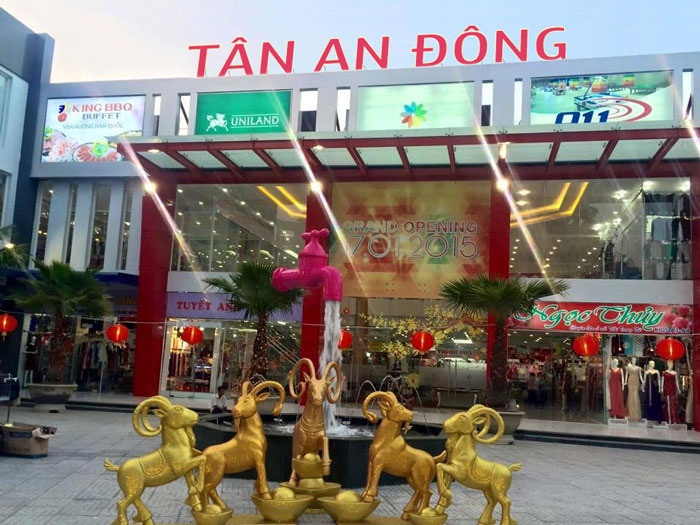 Theo nam ca sĩ, quy mô chợ sỉ gồm 800 ki ốt, kinh doanh mặt hàng về thời trang từ quần áo, giày đép, phụ kiện làm đẹp. Mỗi ki ốt rộng tầm 4-12m2, được cho thuê với giá từ 45 triệu đồng cho 6 tháng, trở lên. Thông tin báo chí có đưa, Đàm Vĩnh Hưng tiết lộ, tổng kinh phí của dự án lên đến 70 tỷ đồng, trong đó anh là chủ đầu tư, đồng thời có sự hợp tác của một số cổ đông khác.